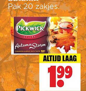 Pickwick Autumn Storm - Pak 20 zakjes