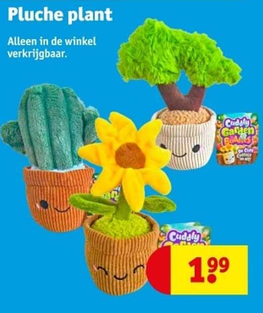 Pluche plant