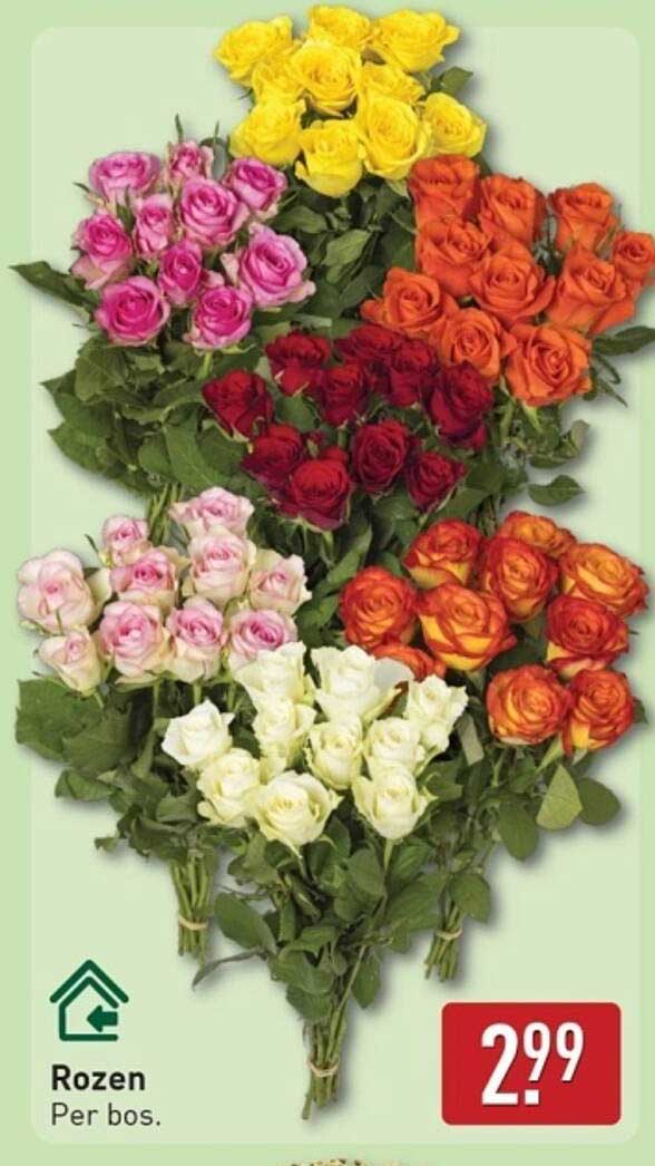 Rozen Per bos.