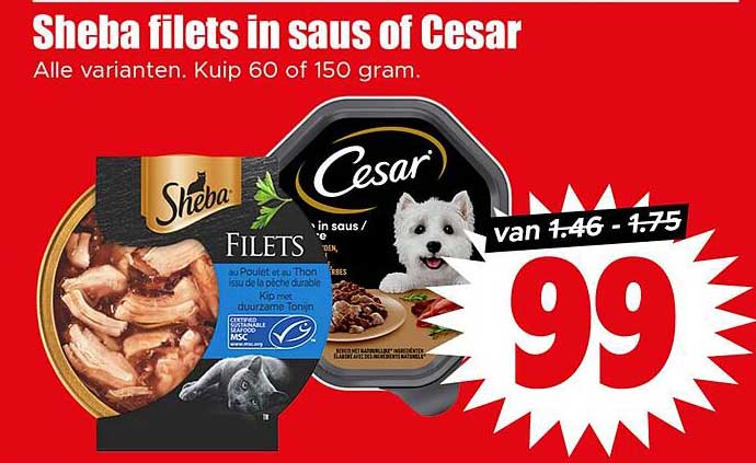 Sheba filets in saus of Cesar