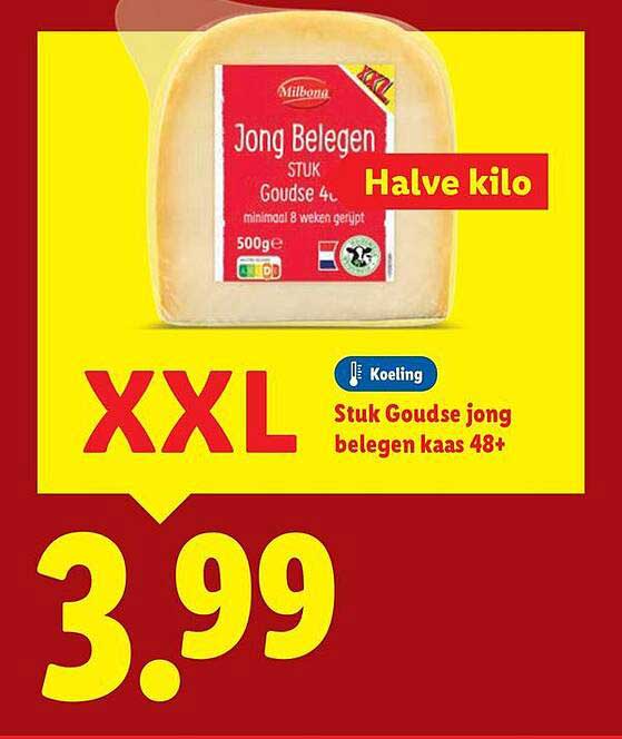 Stuk Goudse jong belegen kaas 48+