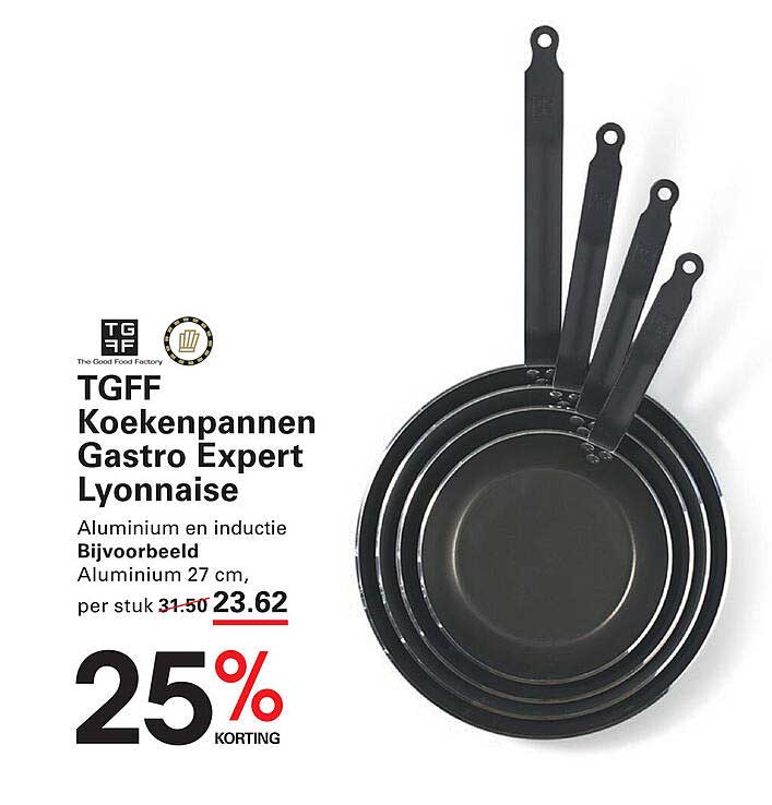 TGFF Koekenpannen Gastro Expert Lyonnaise