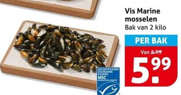 Vis Marine mosselen Bak van 2 kilo