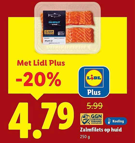Zalmfilets op huid