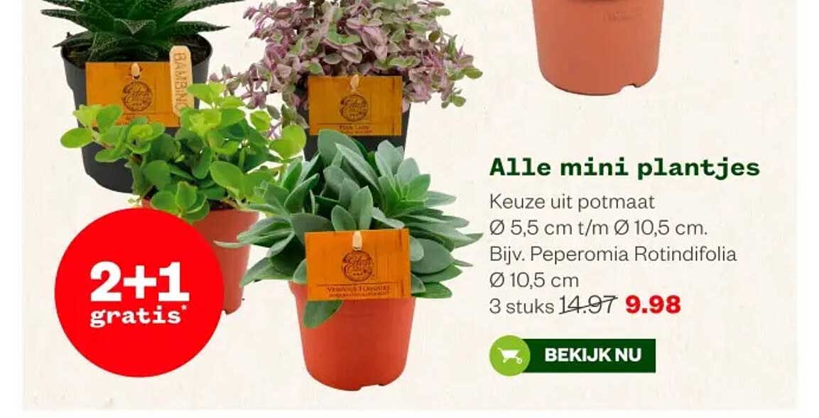 Alle mini plantjes 2+1 gratis