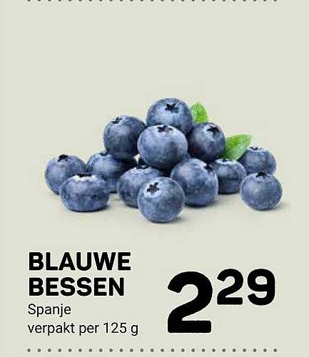 BLAUWE BESSEN