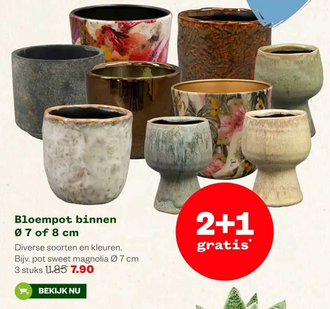 Bloempot binnen Ø 7 of 8 cm 2+1 gratis