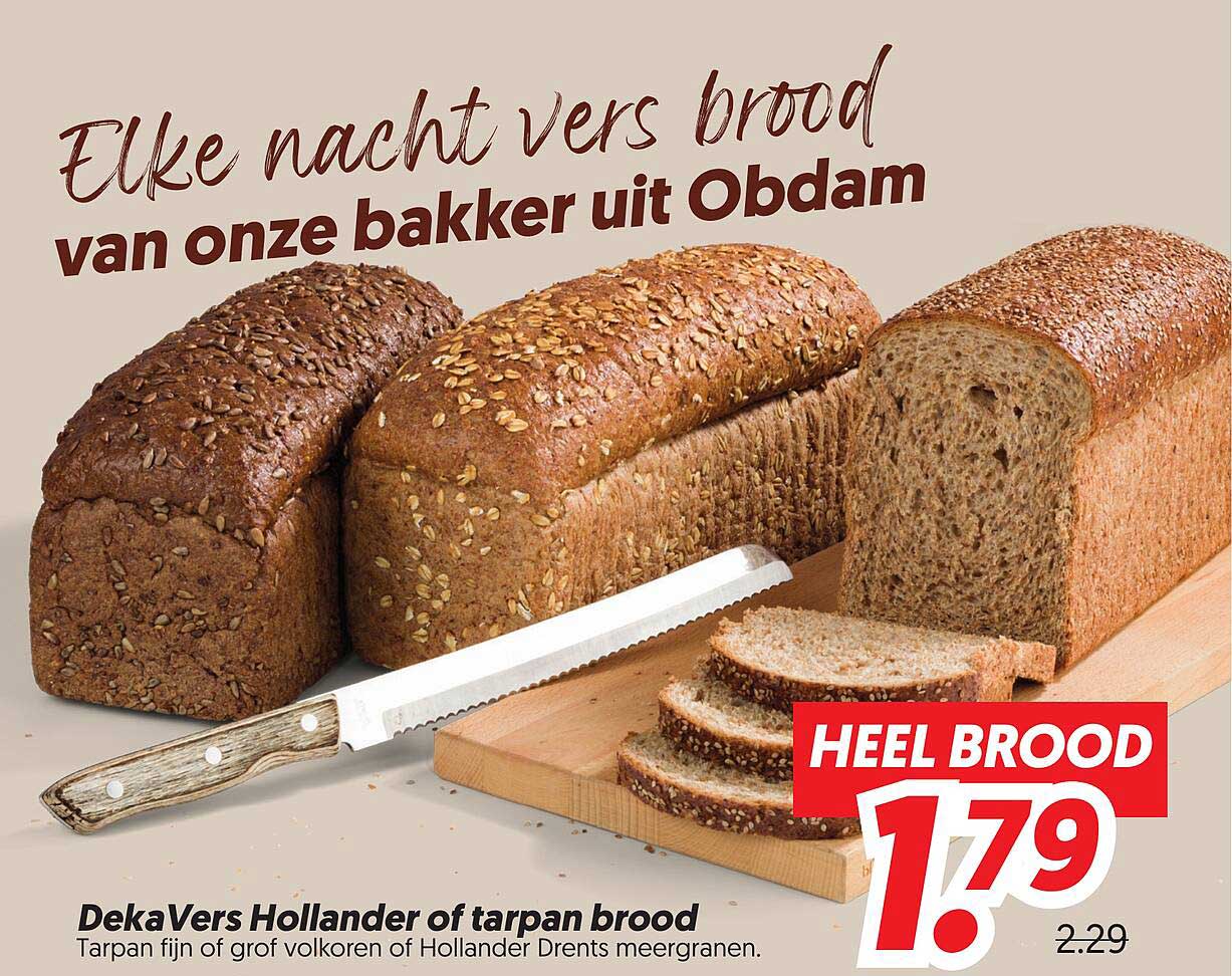 DekaVers Hollander of tarpan brood HEEL BROOD