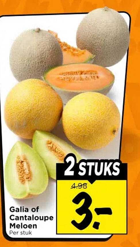 Galia of Cantaloupe Meloen 2 stuks