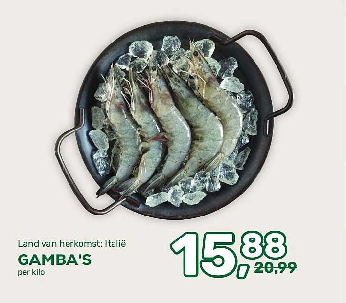 GAMBA'S