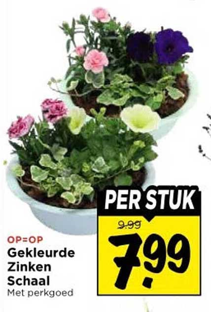Gekleurde Zinken Schaal Met perkgoed PER STUK