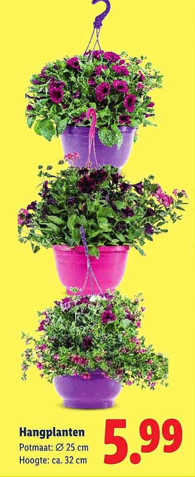 Hangplanten