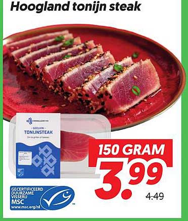Hoogland tonijn steak