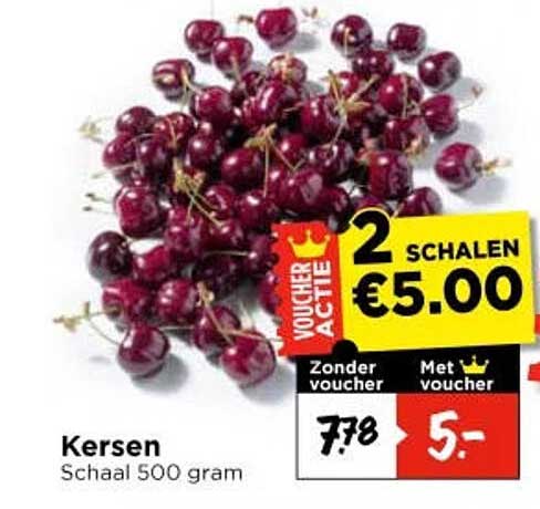 Kersen Schaal 500 gram 2 SCHALEN €5.00