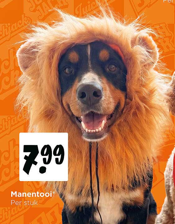 Manentool*