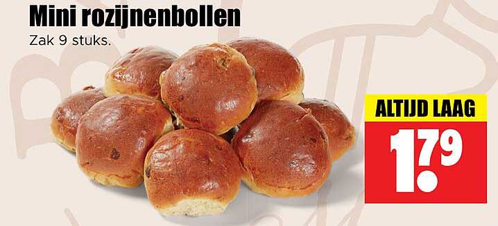Mini rozijnenbollen Zak 9 stuks. ALTlJD LAAG