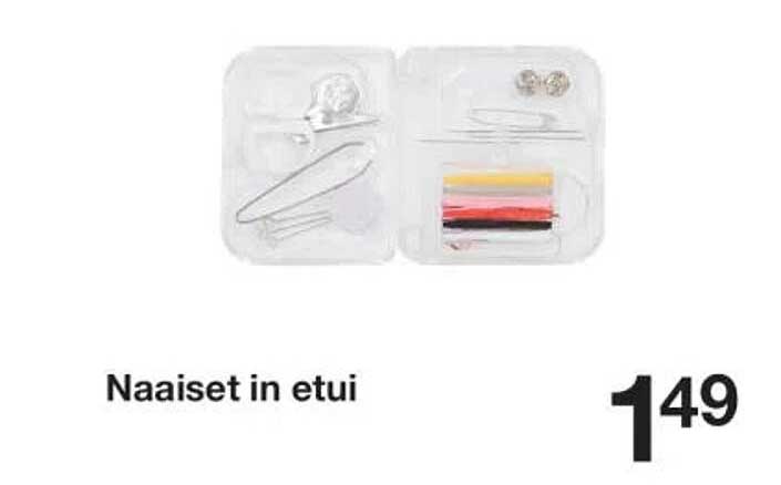 Naaiset in etui