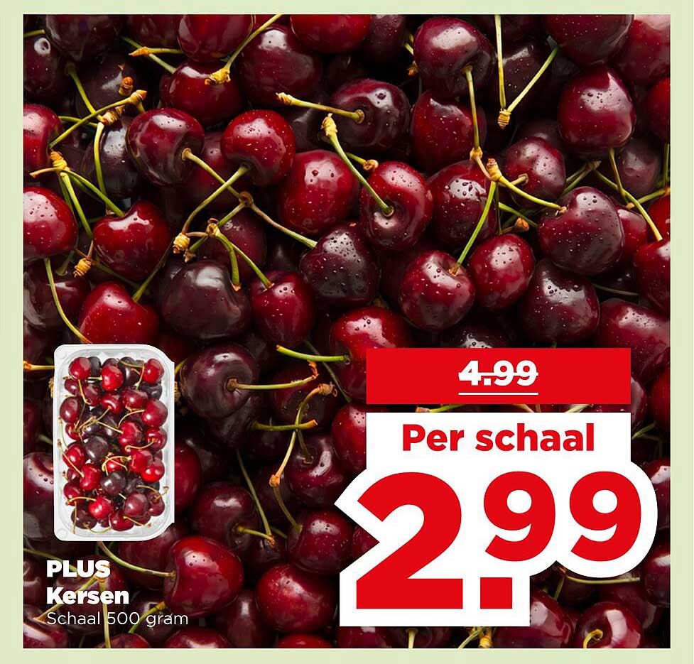 PLUS Kersen Schaal 500 gram