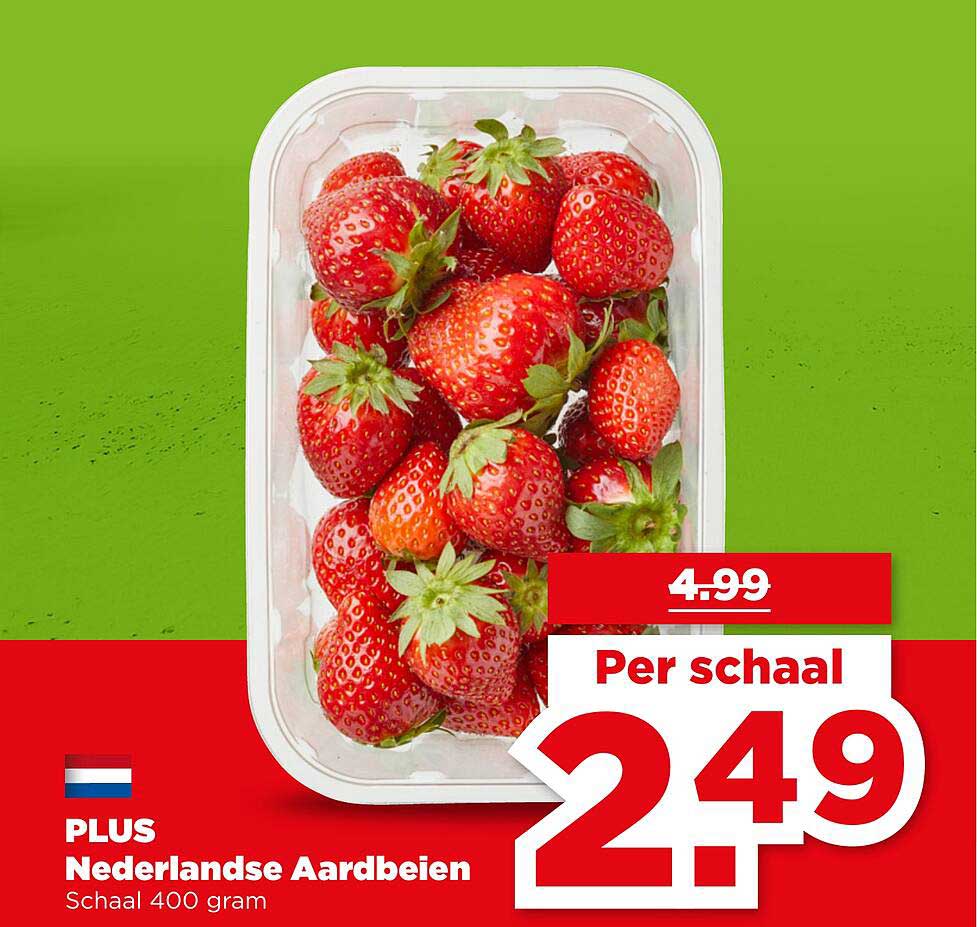 PLUS Nederlandse Aardbeien Schaal 400 gram