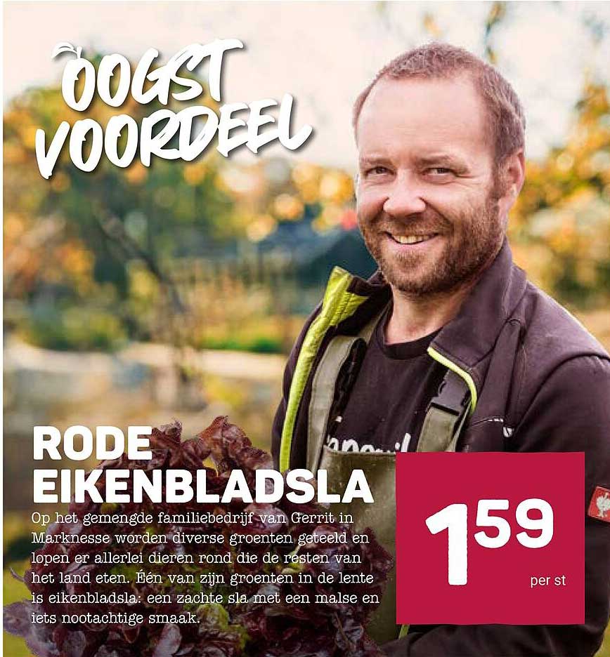 RODE EIKENBLADSLA