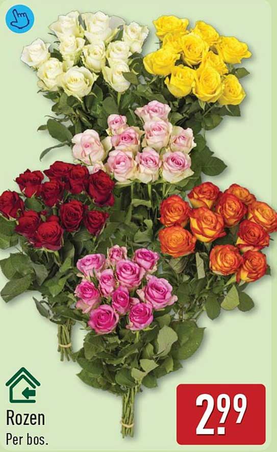 Rozen