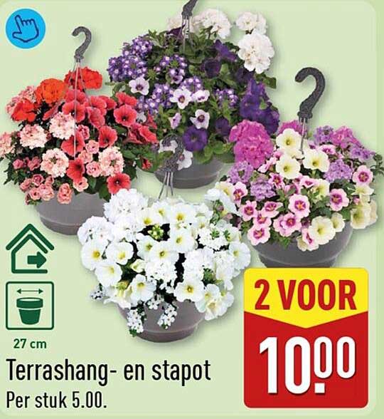 Terrashang- en stapot