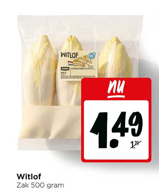 Witlof Zak 500 gram