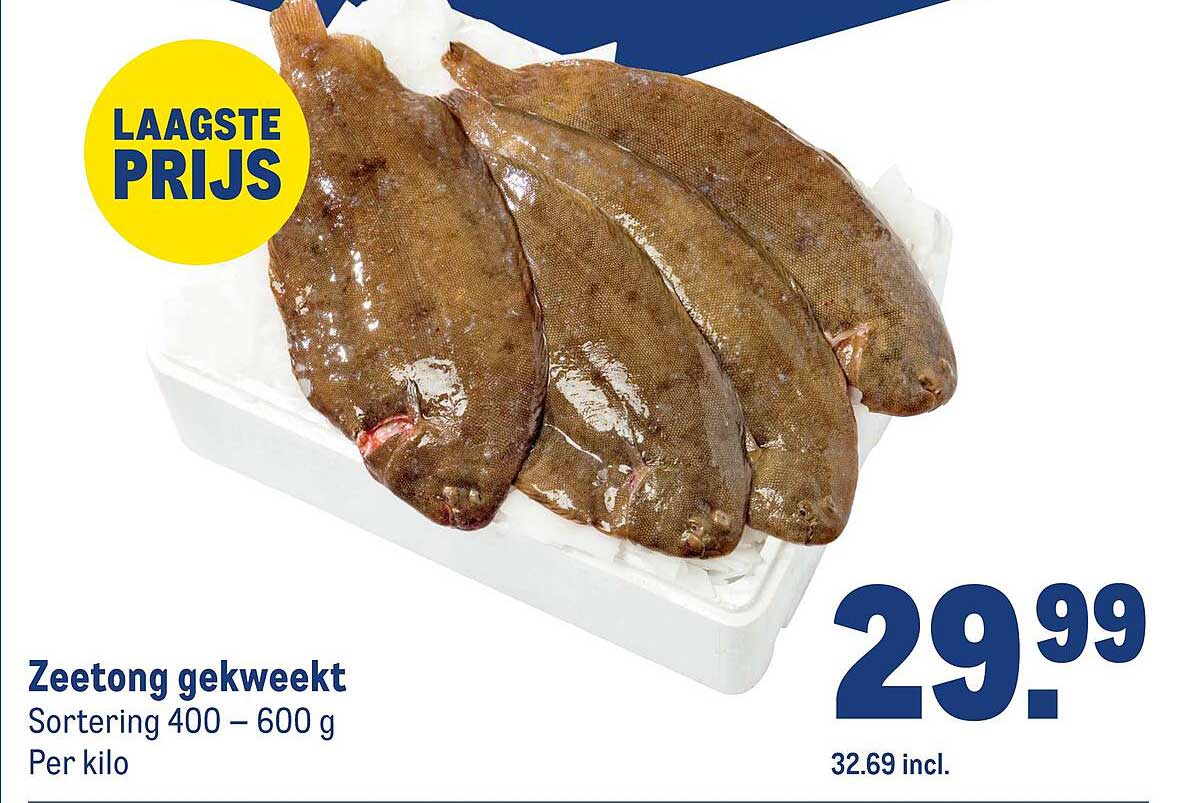 Zeetong gekweekt