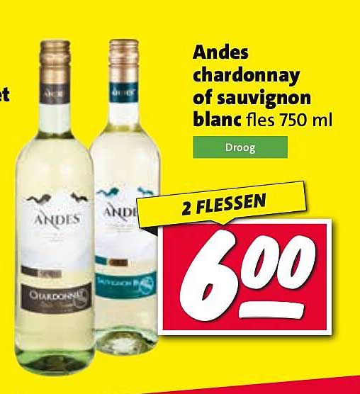 Andes chardonnay of sauvignon blanc fles 750 ml
