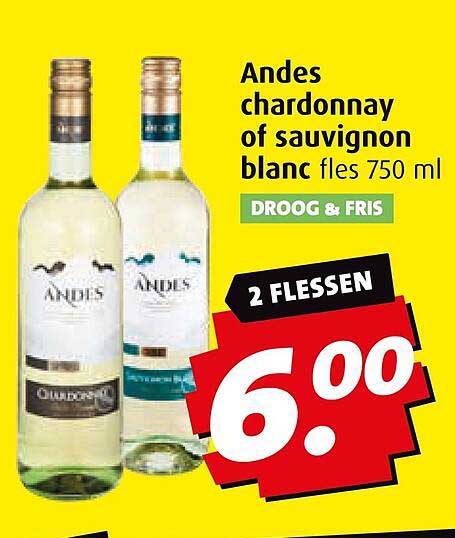 Andes chardonnay of sauvignon blanc fles 750 ml