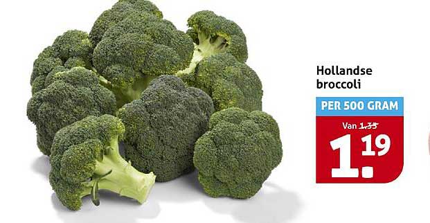 Hollandse broccoli