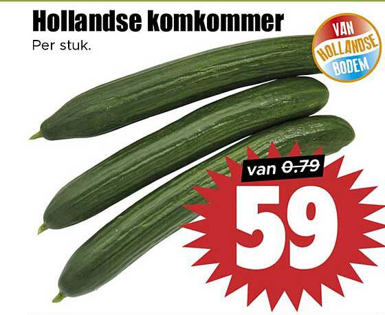 Hollandse komkommer