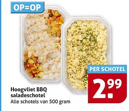 Hoogvliet BBQ saladeschotel