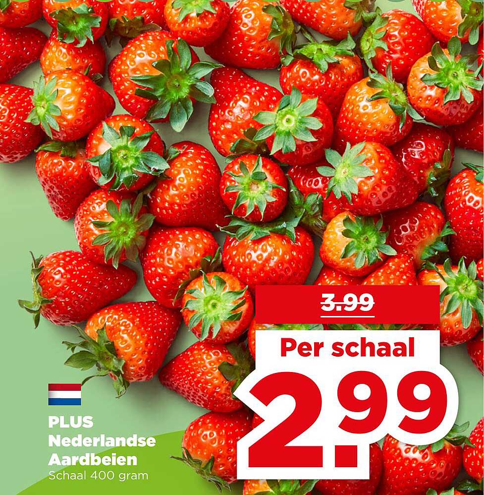 PLUS Nederlandse Aardbeien Schaal 400 gram