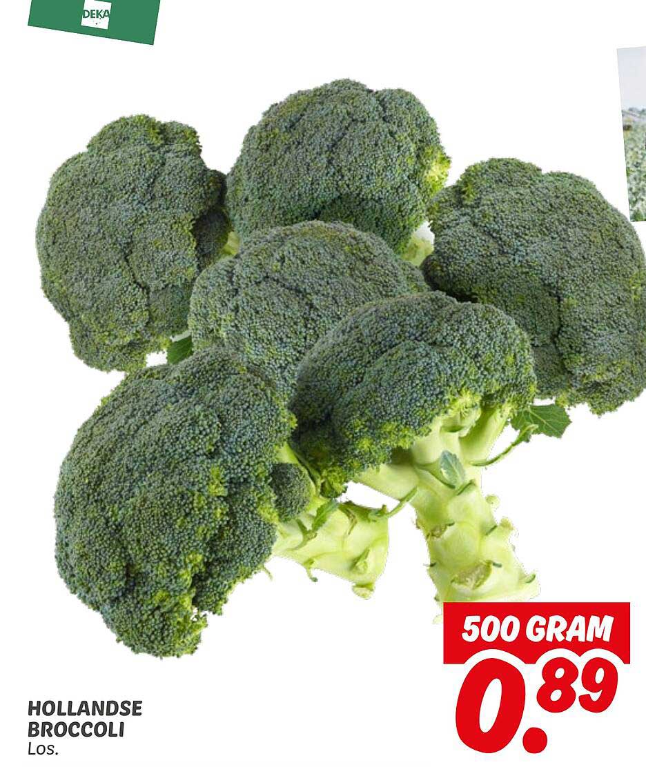 HOLLANDSE BROCCOLI Los.