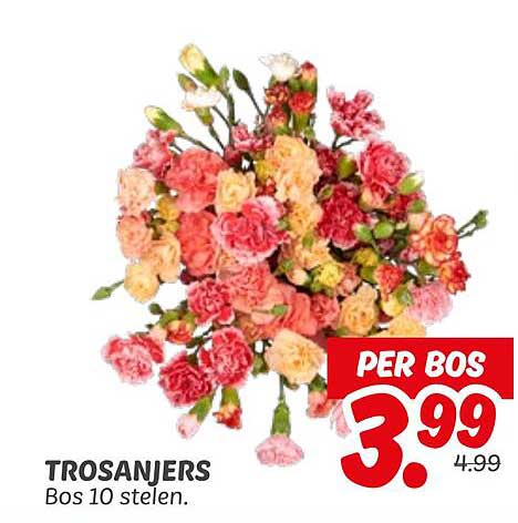 Trosanjers Bos 10 stelen
