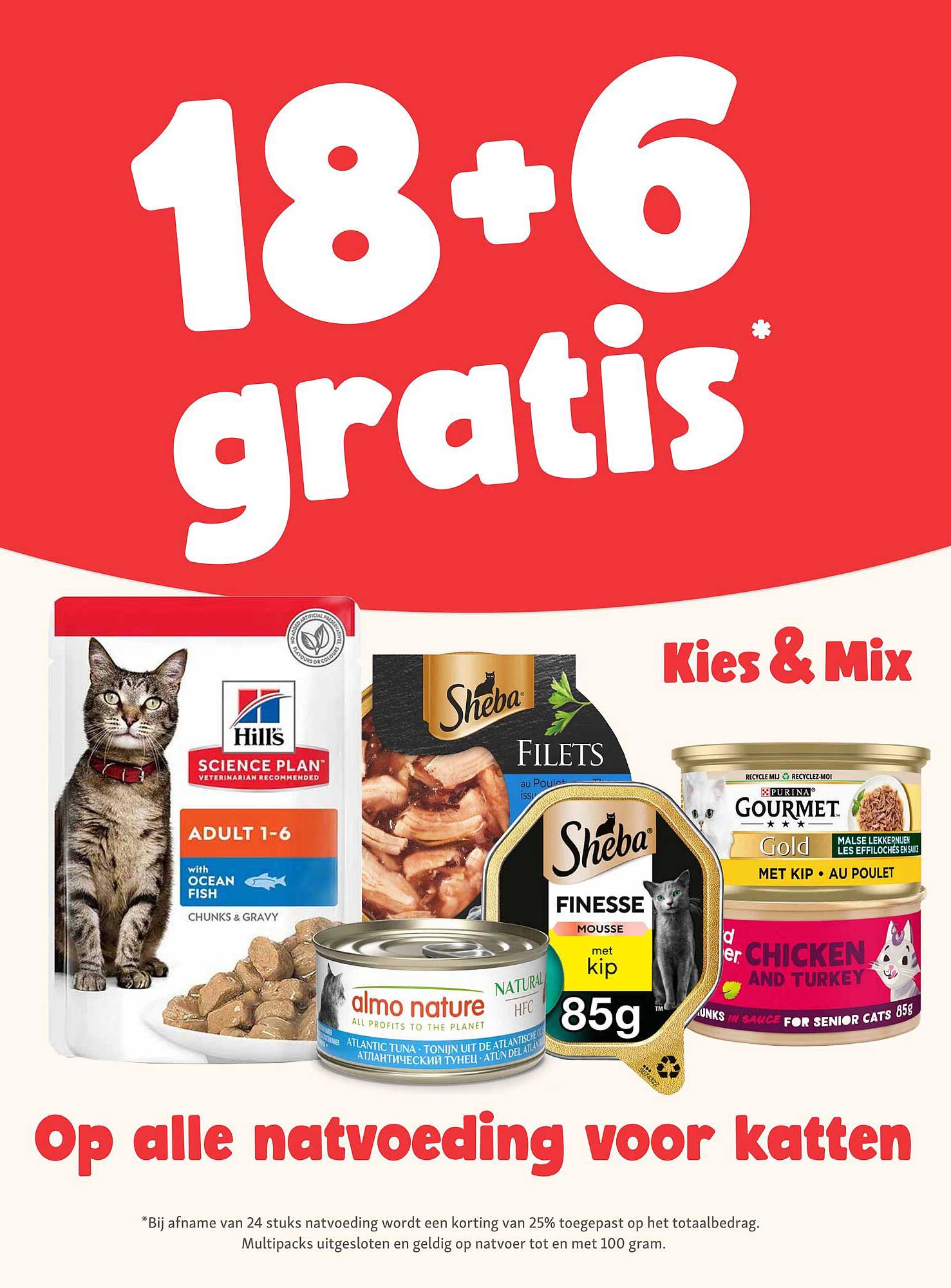 18+6 gratis