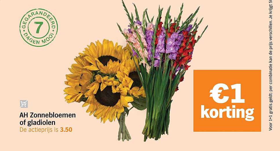 AH Zonnebloemen of gladiolen €1 korting