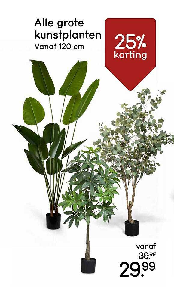 Alle grote kunstplanten Vanaf 120 cm 25% korting