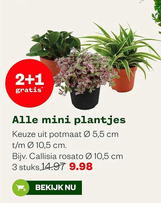 Alle mini plantjes 2+1 gratis