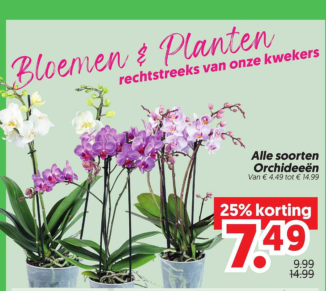 Alle soorten Orchideeën