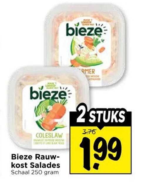 Bieze Rauwkost Salades Schaal 250 gram 2 stuks