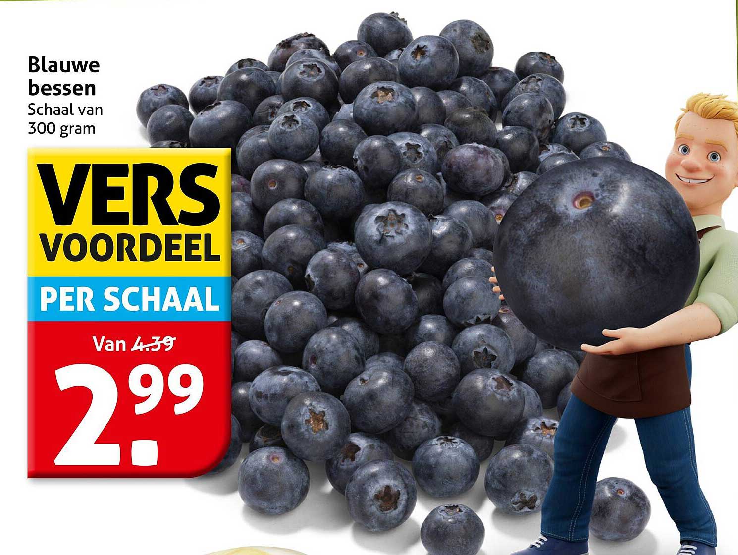 Blauwe bessen Schaal van 300 gram VERS VOORDEEL PER SCHAAL