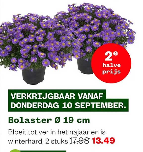 Bolaster Ø 19 cm 2e halve prijs