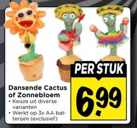Dansende Cactus of Zonnebloem