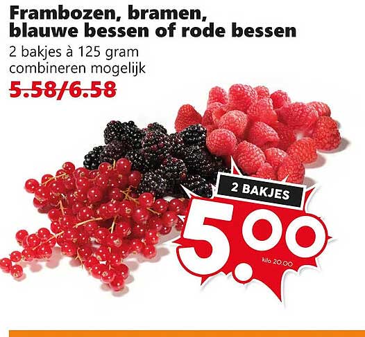 Frambozen, bramen, blauwe bessen of rode bessen 2 bakjes à 125 gram combineren mogelijk 2 bakjes