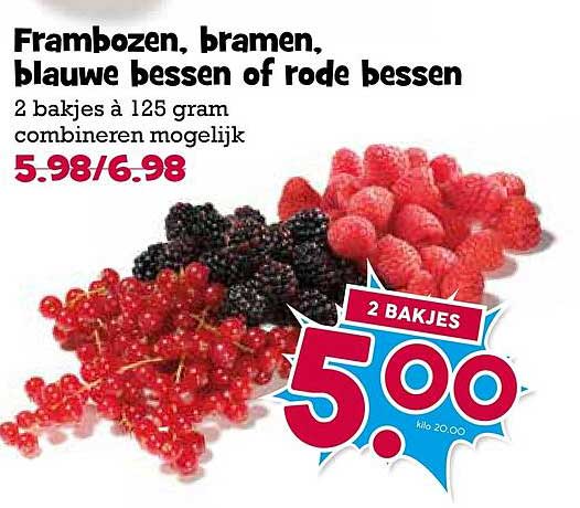 Frambozen, bramen, blauwe bessen of rode bessen 2 bakjes à 125 gram combineren mogelijk 2 BAKJES