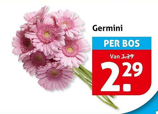 Germini PER BOS