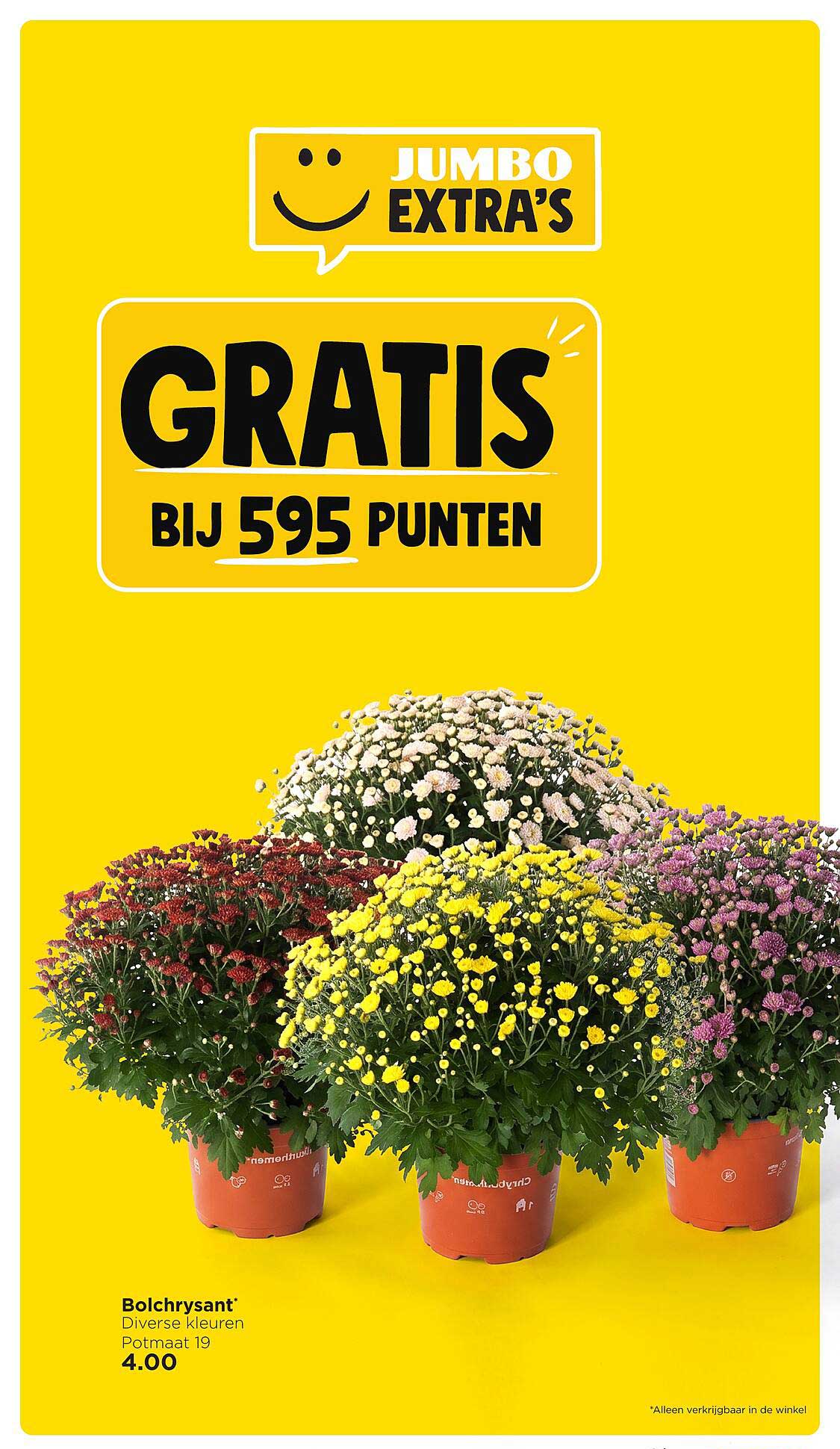 GRATIS BIJ 595 PUNTEN