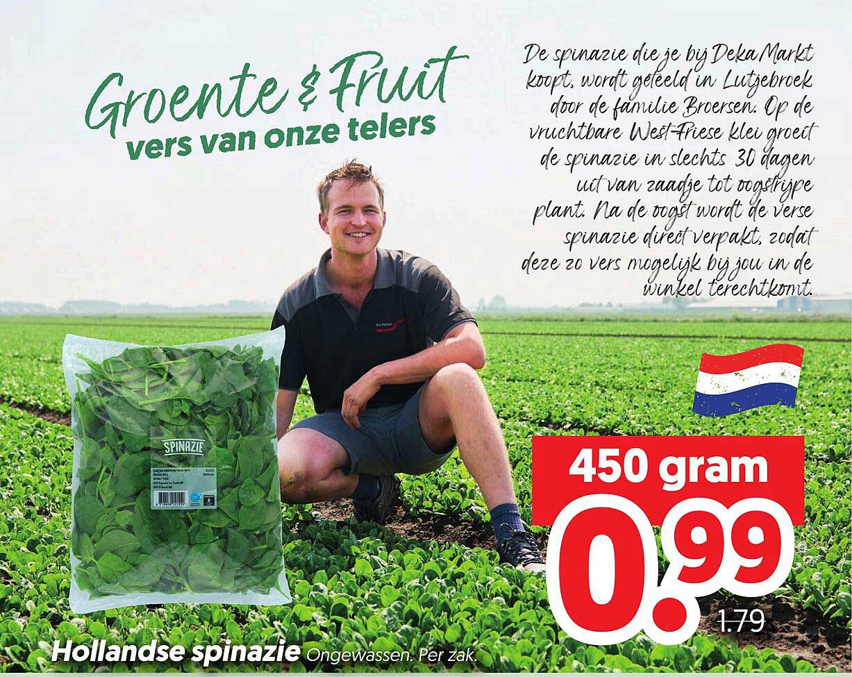 Hollandse spinazie